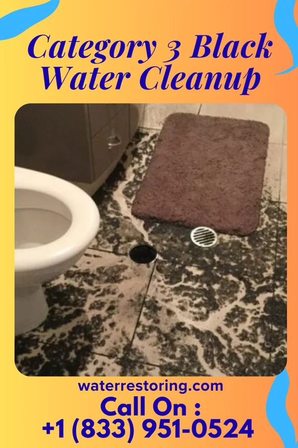Category 3 Black Water Cleanup in Grahamtown, MD