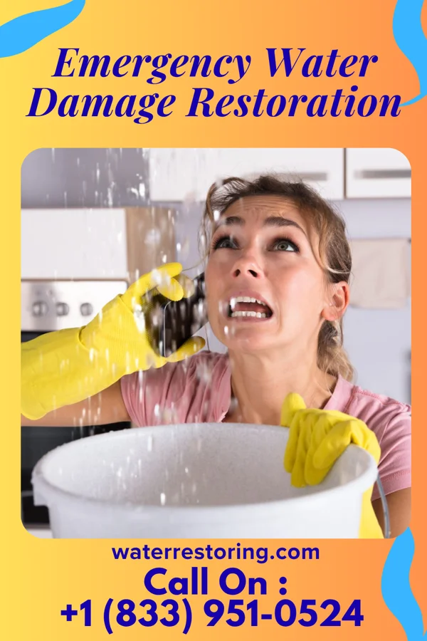 Emergency Water Damage Restoration in Grahamtown, MD