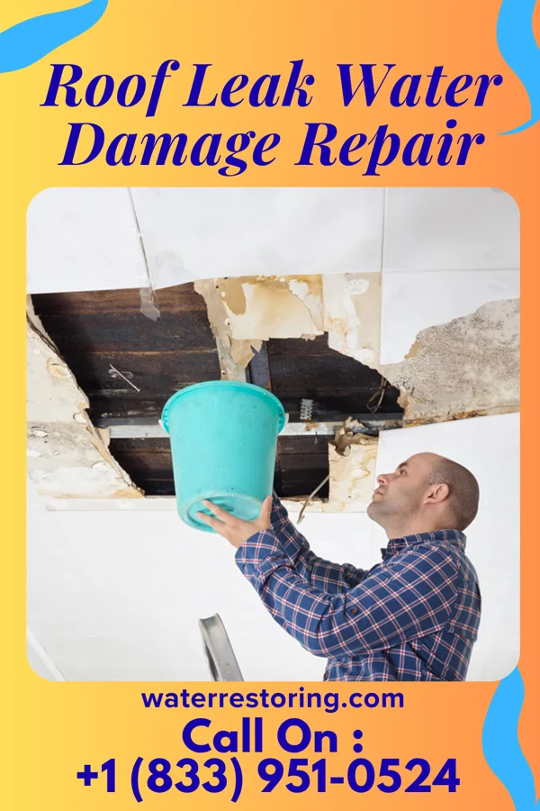 Roof Leak Water Damage Repair in Grahamtown, MD