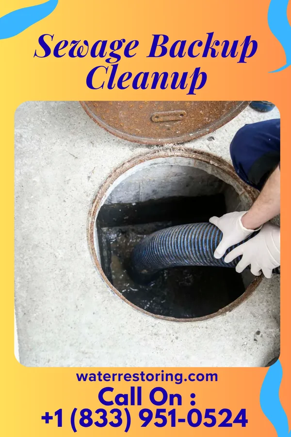 Sewage Backup Cleanup in Grahamtown, MD