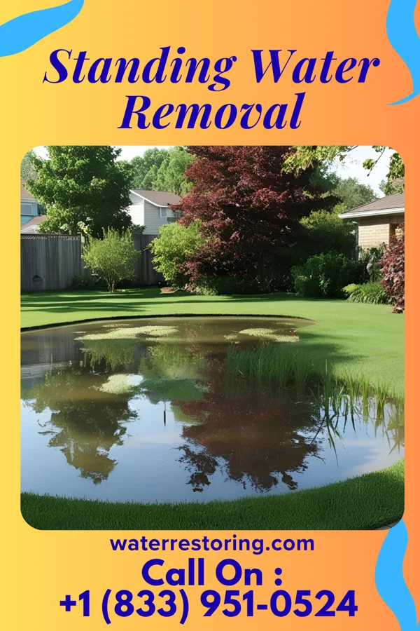 Standing Water Removal in Grahamtown, MD